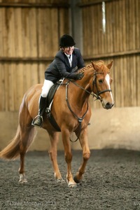 Isis Dressage Crown Farm Show 29th April 2012